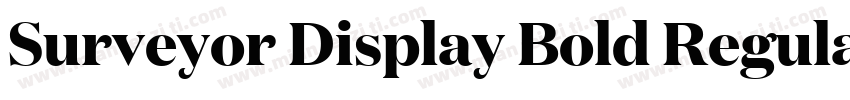 Surveyor Display Bold Regular字体转换